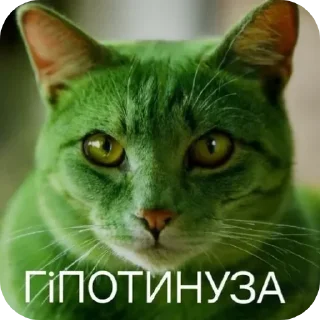Sticker from попа.