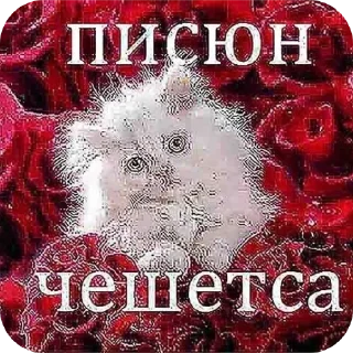 Sticker from Линочка стикеры