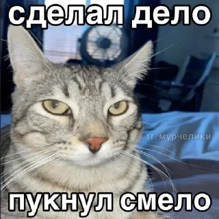 🌟 emoji ура меф Telegram sticker 5 of 74