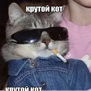 😺 emoji я улыбаюсь Telegram sticker 19 of 38