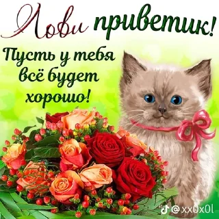 🌟 emoji милые открытки с кисами Telegram sticker 3 of 54
