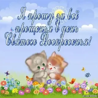 🌟 emoji милые открытки с кисами Telegram sticker 14 of 54