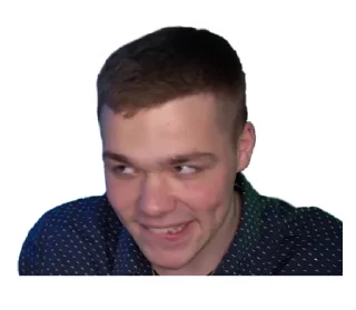 😏 emoji Некие приятные стикеры💚 Telegram sticker 14 of 44