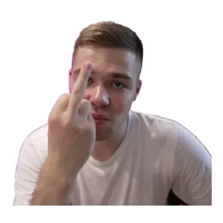 🖕 emoji Некие приятные стикеры💚 Telegram sticker 8 of 44