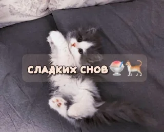🌟 emoji Никуша?¿🙌🏻💋 Telegram sticker 16 of 19