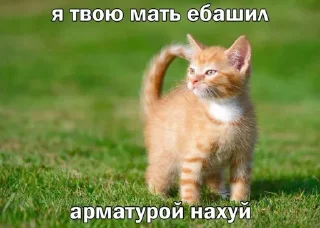 🤧 emoji стикеры жени холод😜 Telegram sticker 8 of 46