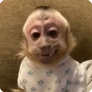 🌟 emoji УВАГА БІБІЗЯНКИ‼️ Telegram sticker 23 of 38