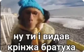 🌟 emoji Бібізянки Telegram sticker 6 of 50