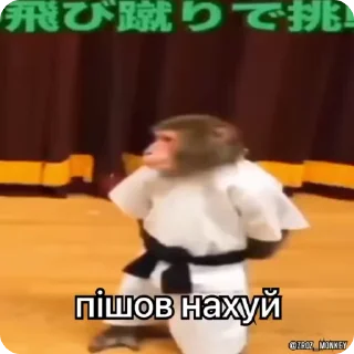 🌟 emoji Бібізянки Telegram sticker 5 of 50