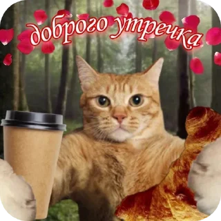 🐱 emoji С добрым утром Telegram sticker 16 of 40