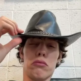 🤠 emoji даня Telegram sticker 21 of 27