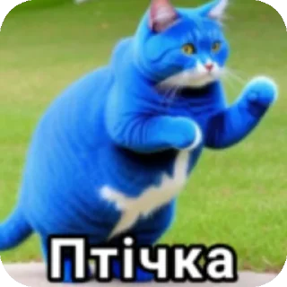 🐱 emoji Набiр Пiскiноф - @shakaladvzhope Telegram sticker 7 of 25
