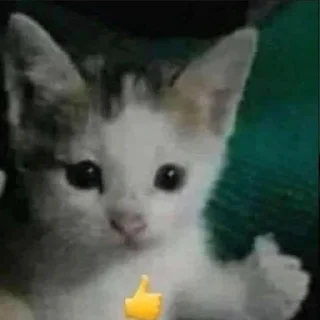 👍 emoji обосраться Telegram sticker 8 of 95