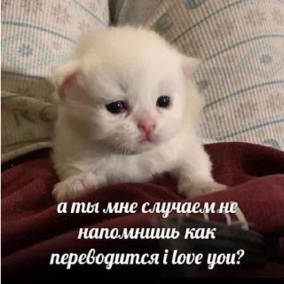 😇 emoji обосраться Telegram sticker 19 of 95