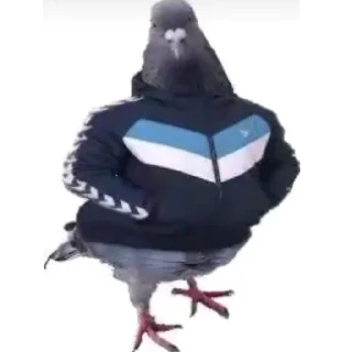 🐦 emoji нарко витаминки Telegram sticker 13 of 119