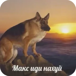 👍 emoji нарко витаминки Telegram sticker 16 of 119