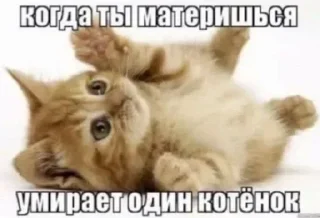 🥰 emoji чоо пон Telegram sticker 20 of 54