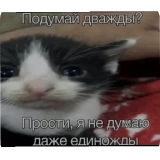 👍 emoji СЮДАААА @all_ahhh Telegram sticker 9 of 94