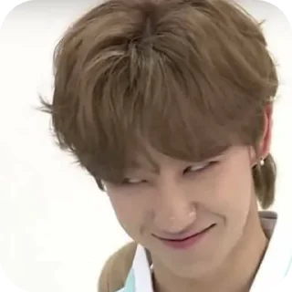 🌟 emoji СЕМНАШКИИ🫰🏻💗 Telegram sticker 8 of 72