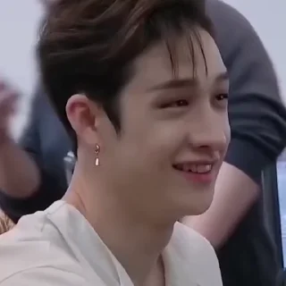 😽 emoji Bang Chan Telegram sticker 15 of 15