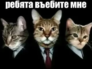 🌟 emoji Пися Telegram sticker 16 of 26