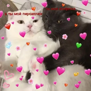 🌟 emoji love Telegram sticker 8 of 51