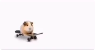 🐹 emoji What? Telegram sticker 24 of 51