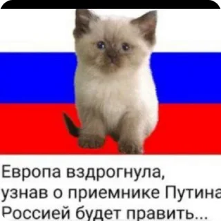🇷🇺 emoji What? Telegram sticker 19 of 51