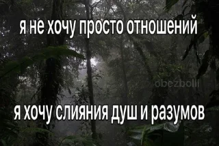 🌟 emoji Да-лесу Telegram sticker 22 of 107