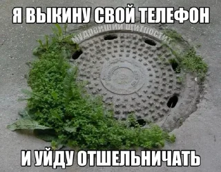 Sticker from Да-лесу