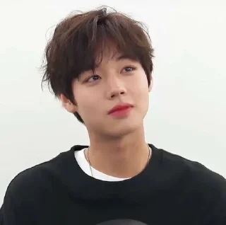 🙂 emoji Park Ji-hoon Telegram sticker 9 of 18
