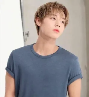 🥵 emoji Park Ji-hoon Telegram sticker 18 of 18