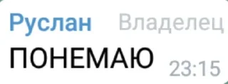 🙂 emoji Фразы пуськи😘 Telegram sticker 8 of 39