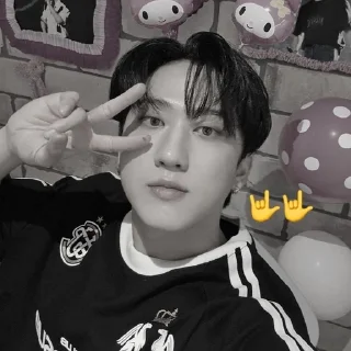 Sticker from changbin [🍙]