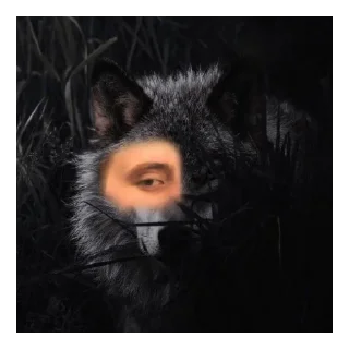 🐺 emoji тринадцать стай Telegram sticker 5 of 7