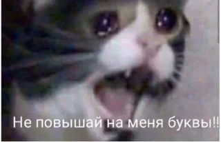 🔫 emoji Тоша гей. Telegram sticker 5 of 28