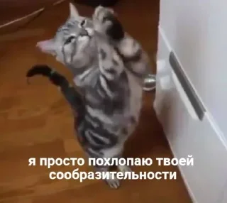 👍 emoji с любовью от меня Telegram sticker 7 of 31