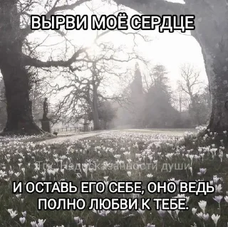 🌟 emoji Ах, я умру ради Сони. Telegram sticker 15 of 63