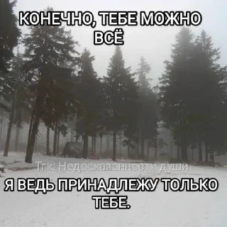 🌟 emoji Ах, я умру ради Сони. Telegram sticker 13 of 63