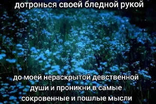 🌟 emoji Ах, я умру ради Сони. Telegram sticker 6 of 63