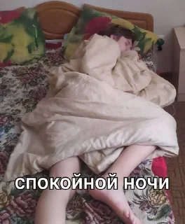 💤 emoji боберчики💗 Telegram sticker 17 of 71