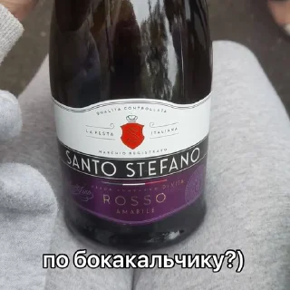 🍷 emoji боберчики💗 Telegram sticker 4 of 71