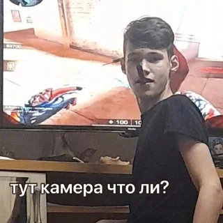 📷 emoji боберчики💗 Telegram sticker 12 of 71