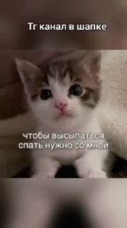 🌟 emoji Смешнявки Telegram sticker 23 of 120