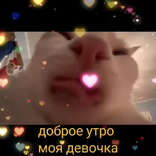 🥀 emoji Окупасы Telegram sticker 10 of 120