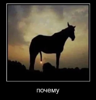 Sticker from Трилогия Т-34