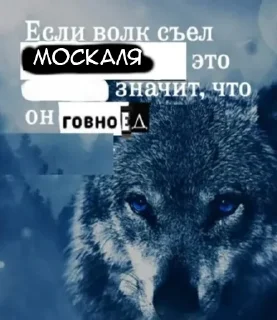 💩 emoji Сильний не той хто москаль @memenace Telegram sticker 16 of 19