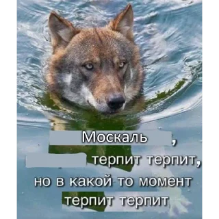 💩 emoji Сильний не той хто москаль @memenace Telegram sticker 12 of 19