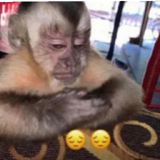 😔 emoji 7-8 причин Броуновского движения Telegram sticker 24 of 59
