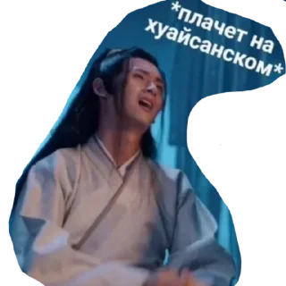 😭 emoji Китайские Шизики Telegram sticker 22 of 31